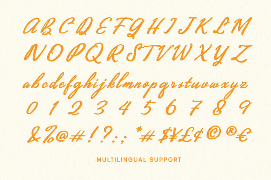 Hidden Coast Font Duo