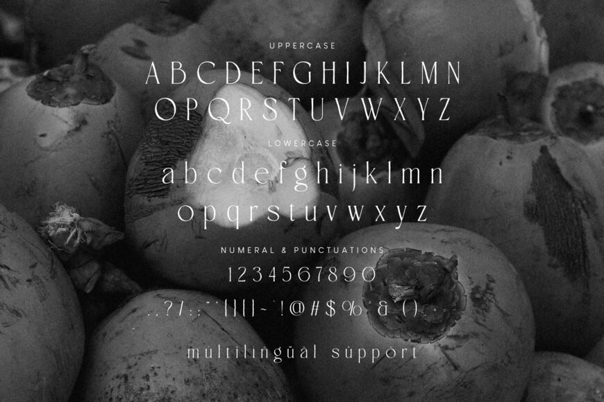 Lowera Font