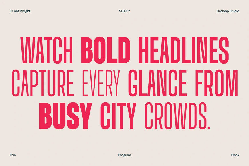 Monfy Font Family