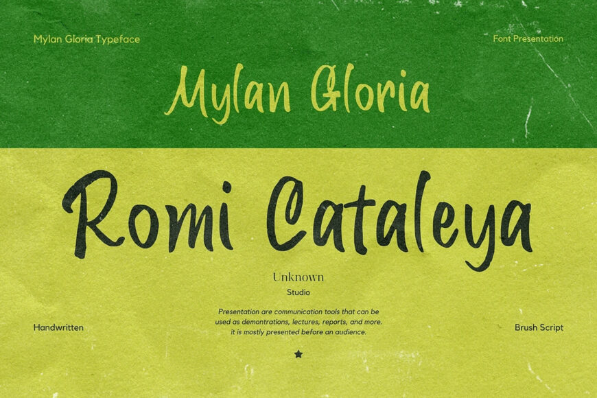 Mylan Gloria Font