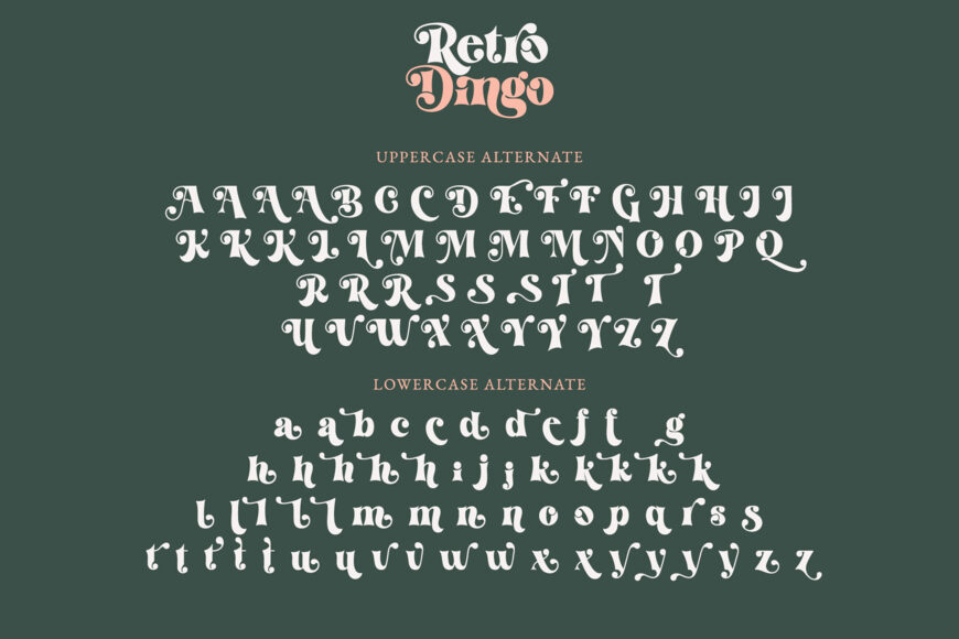 Retro Dingo Font