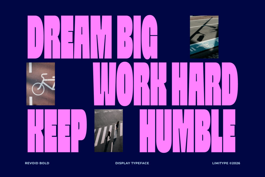 Revoid Font