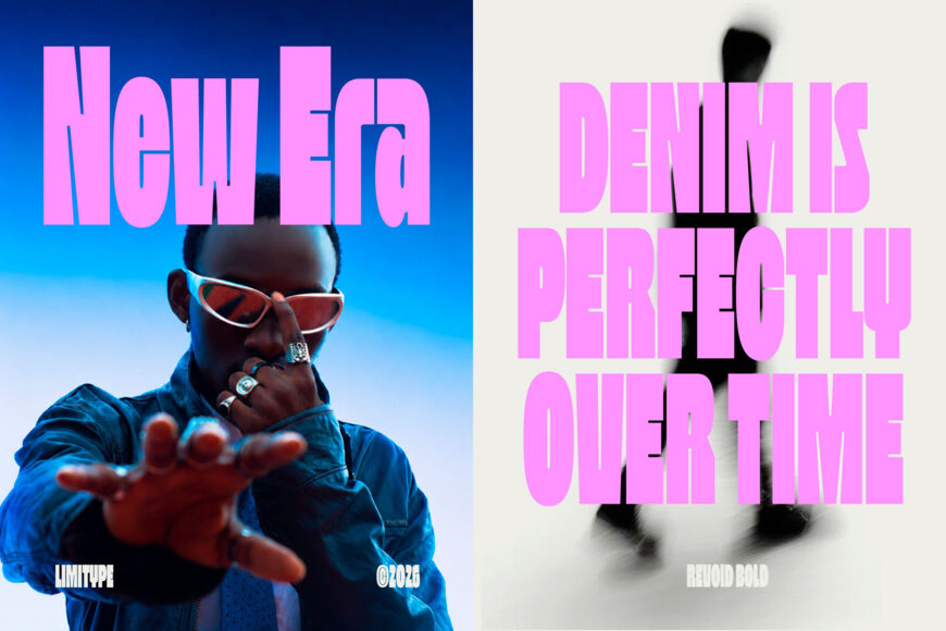 Revoid Font