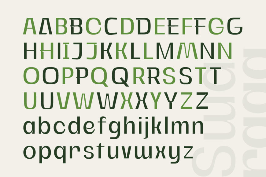 Swaraga Font Family