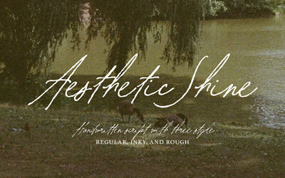 Aesthetic Shine Font