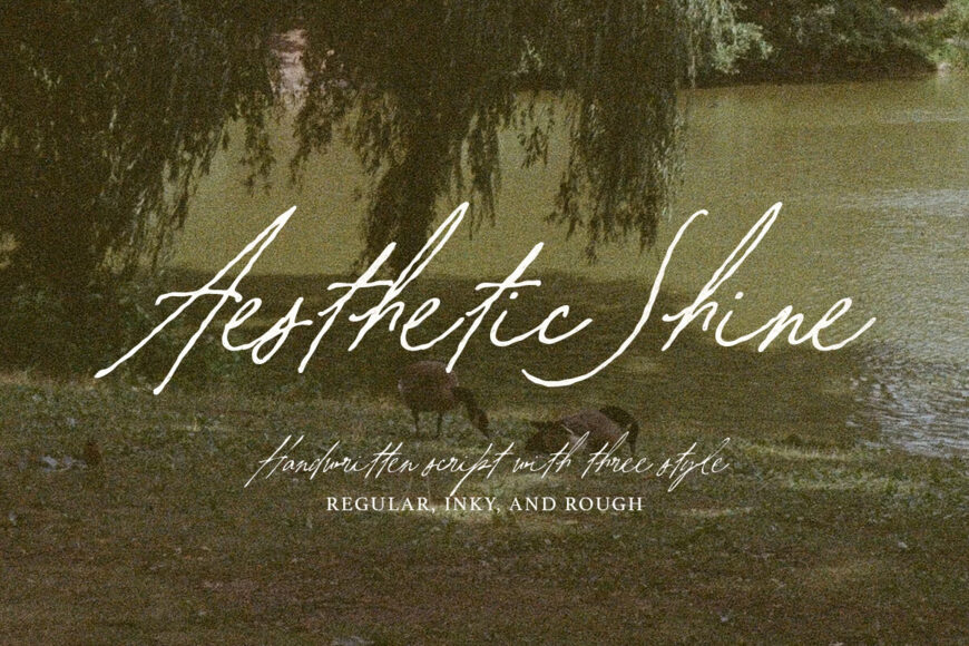 Aesthetic Shine Font