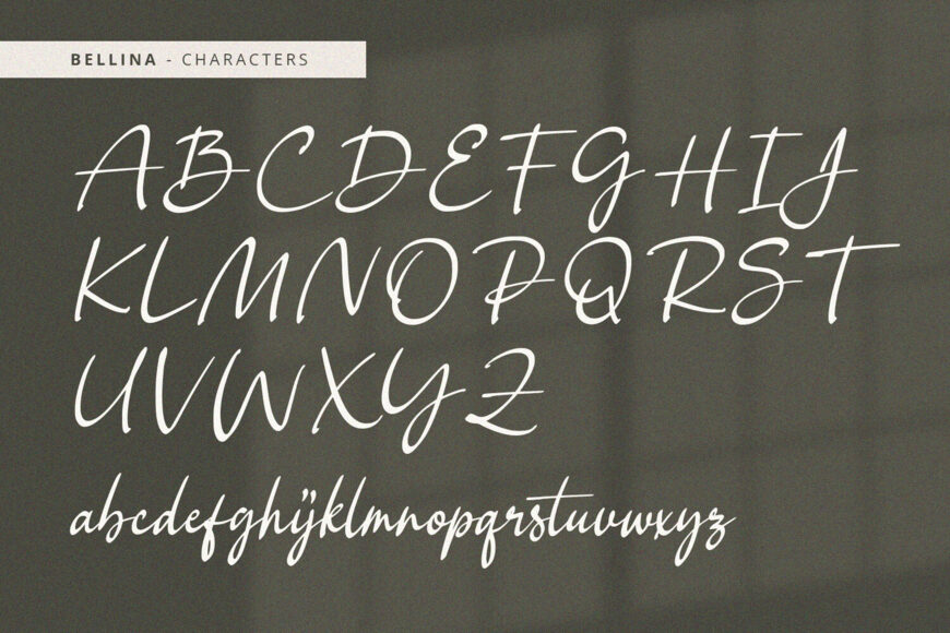 Bellina Font