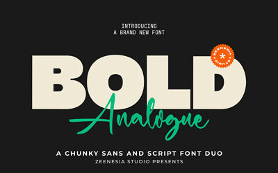 Bold Analogue Font Duo