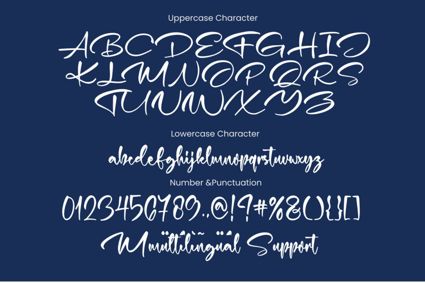 Bold Analogue Font Duo