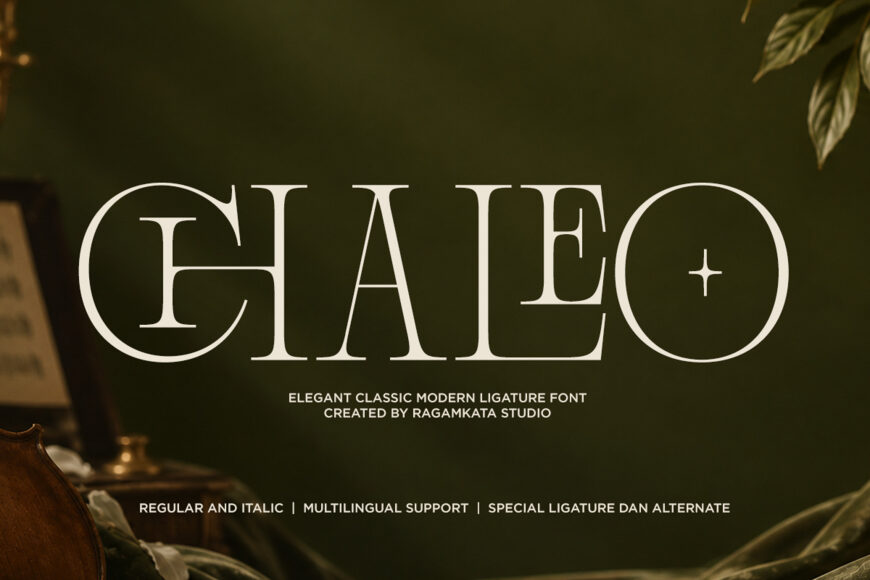 Chaleo Font