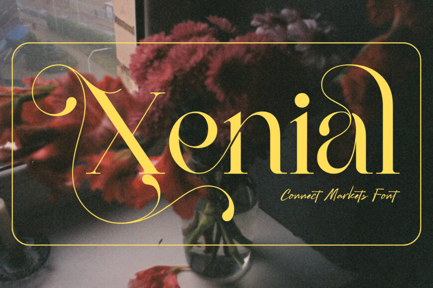 Connect Markets Font