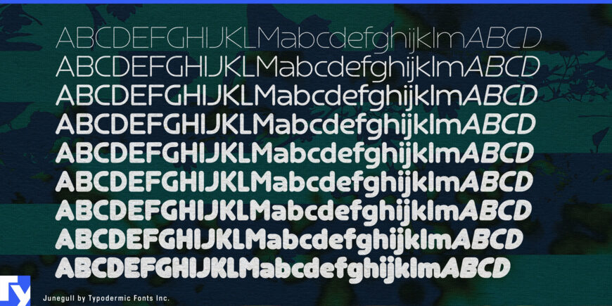 Junegull Font