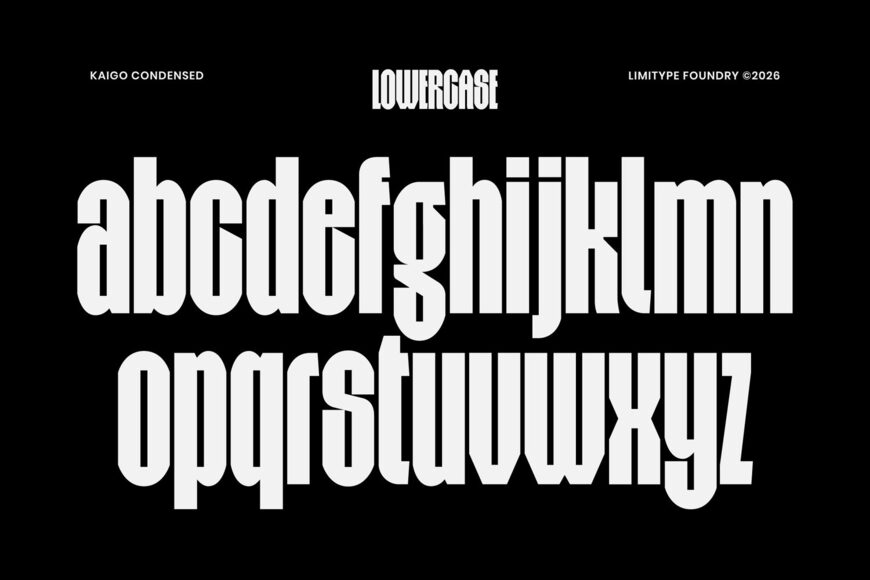 Kaigo Font