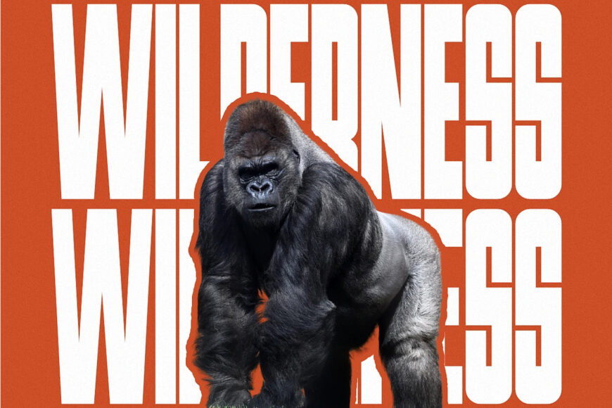 Primate Font