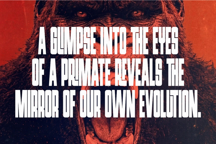 Primate Font