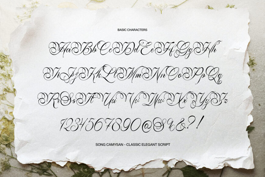 Song Camysa Font