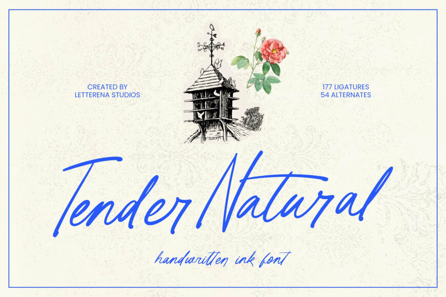 Tender Natural Font