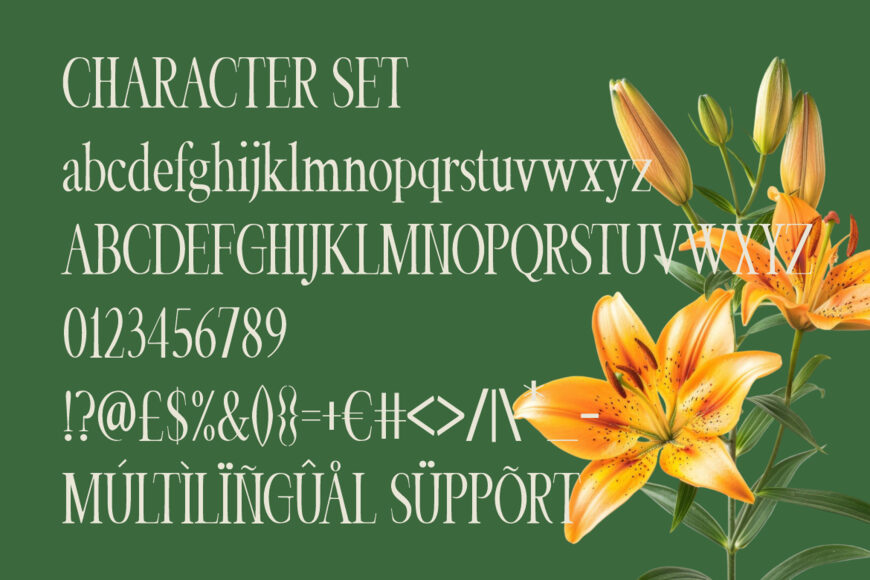 Veloria Palace Font