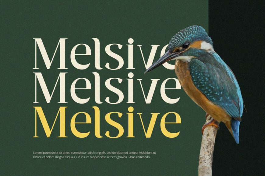 Ventura Font