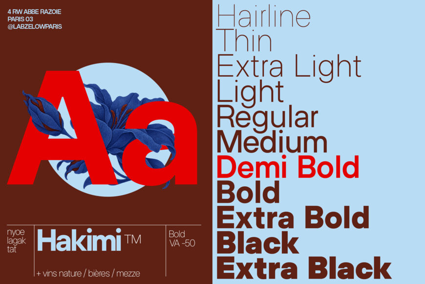 ZT Hakimi Font Family