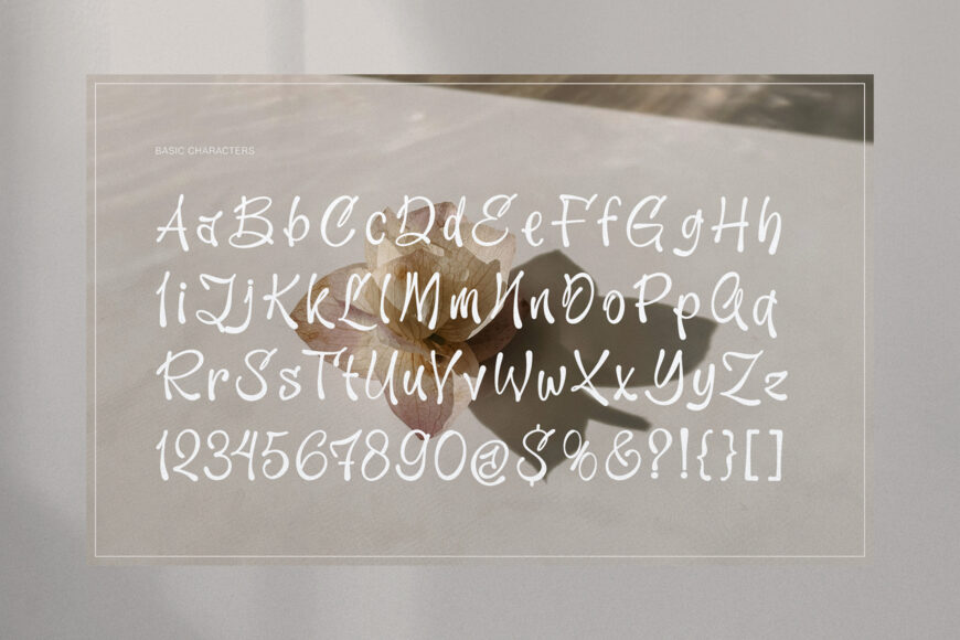 Actright Font