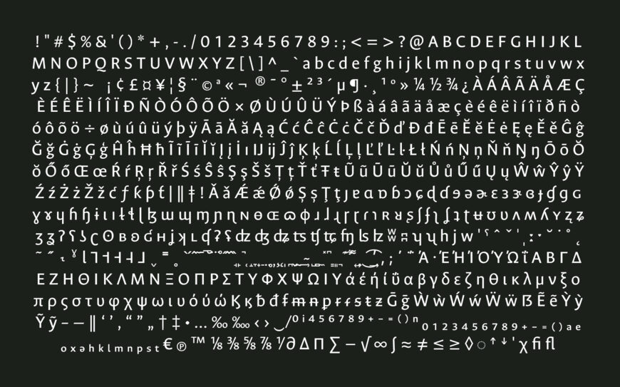 Ancizar Sans Font Family