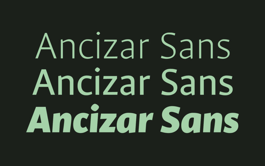 Ancizar Sans Font Family