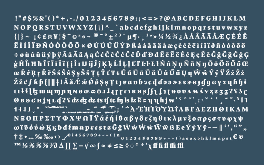 Ancizar Serif Font Family