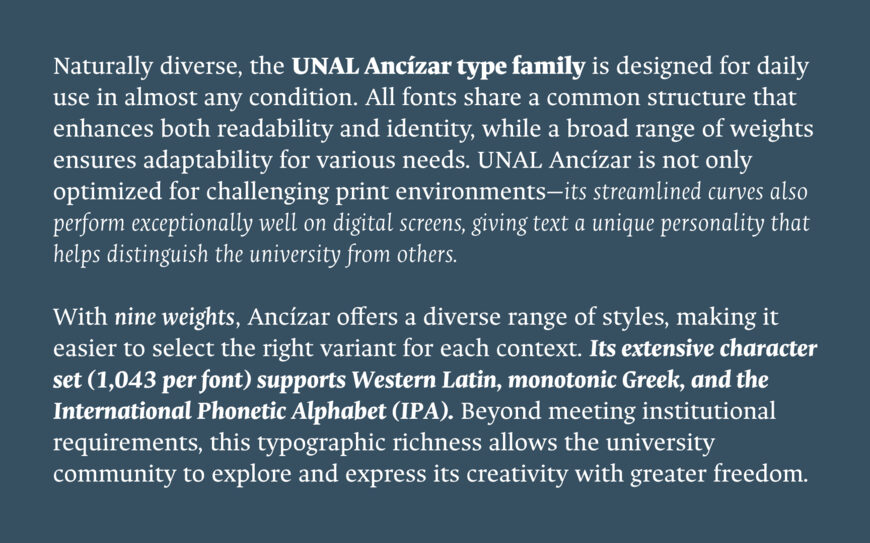 Ancizar Serif Font Family