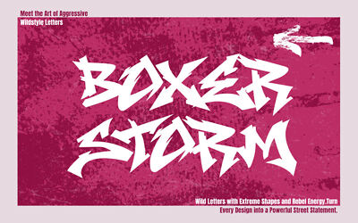 Boxer Storm Font