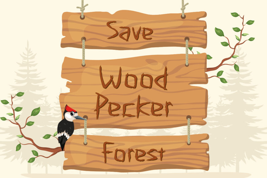 Carved Pine Wood Font