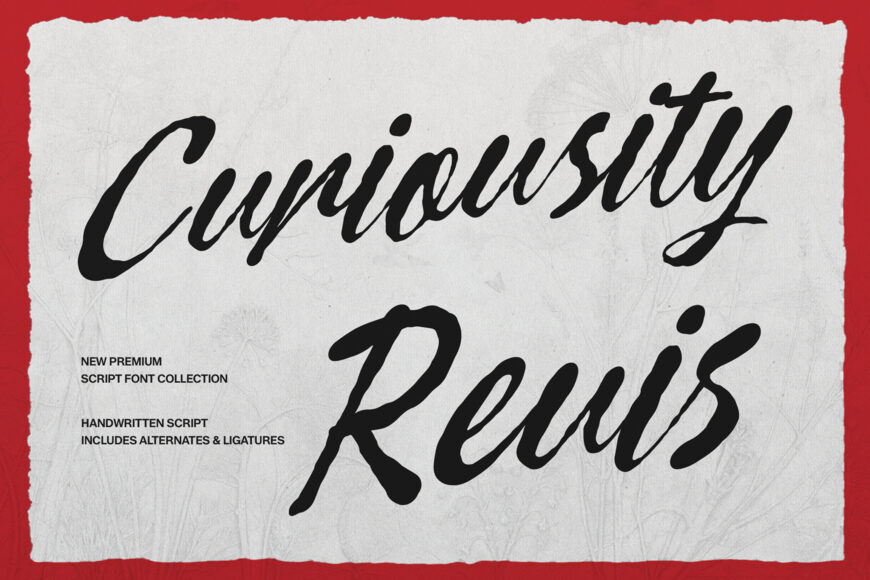 Curiousity Reuis Font