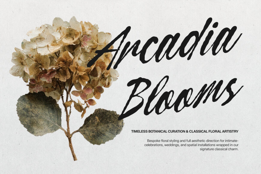 Curiousity Reuis Font