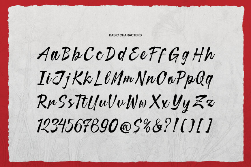 Curiousity Reuis Font