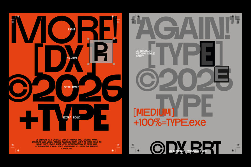 DX Brutalist Font Family