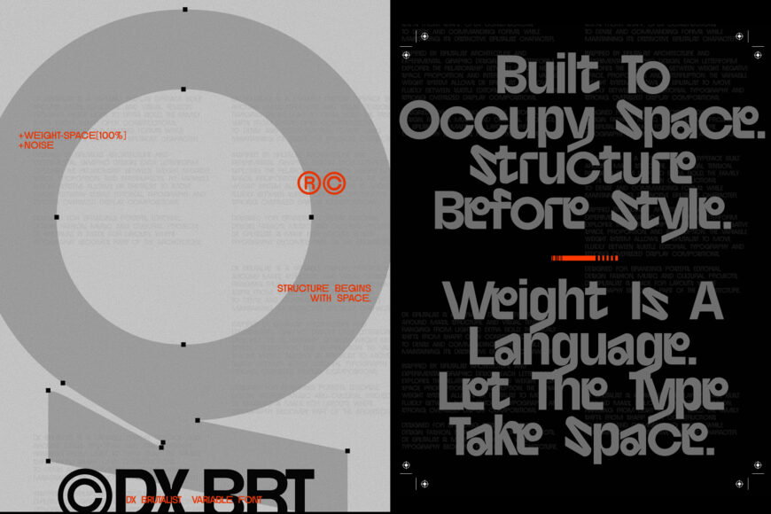 DX Brutalist Font Family
