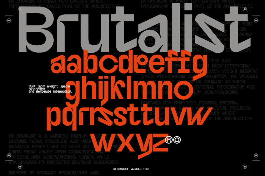 DX Brutalist Font Family