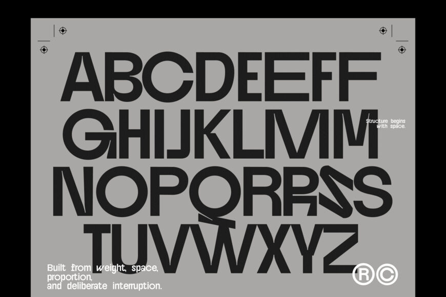 DX Brutalist Font Family
