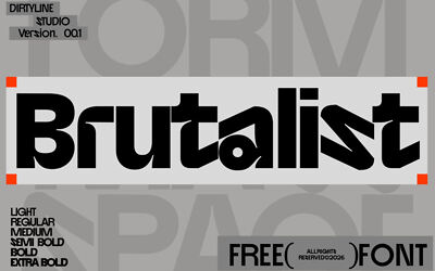 DX Brutalist Font Family