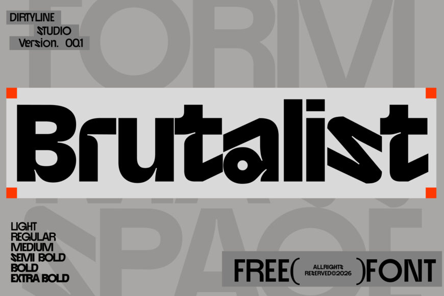 DX Brutalist Font Family