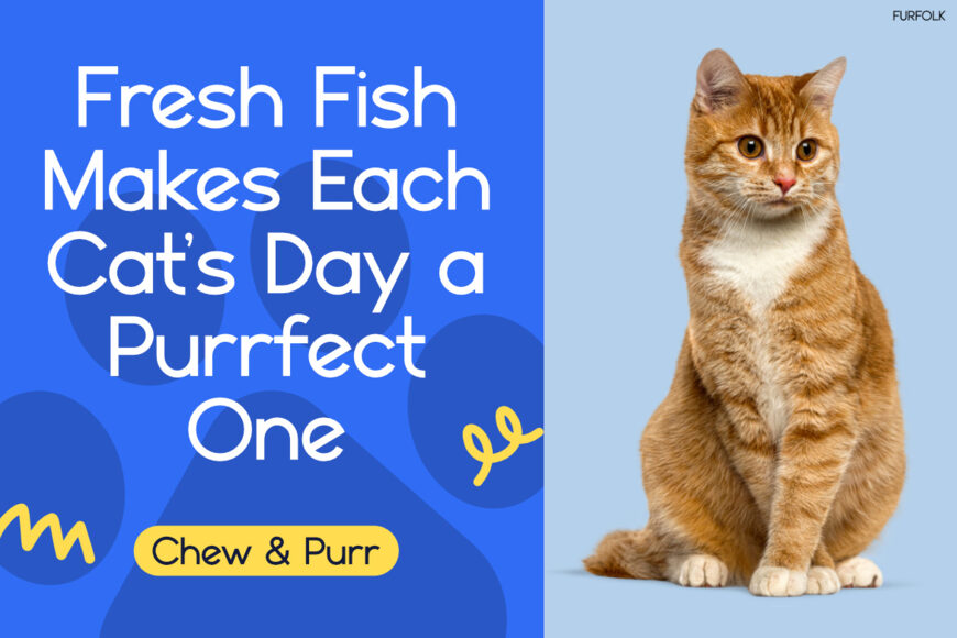 Furfolk Font