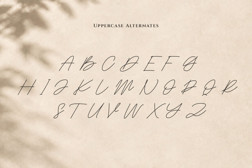 Heristella Font