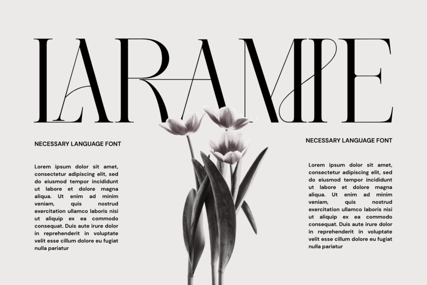 Necessary Language Font