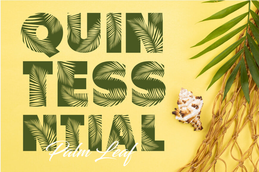 Palm Leaf Font