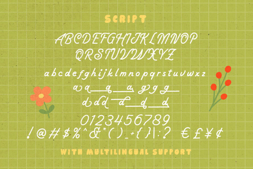 Picky Charm Font Duo