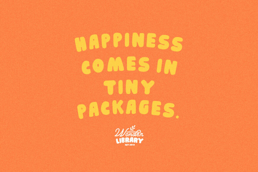 Picky Charm Font Duo