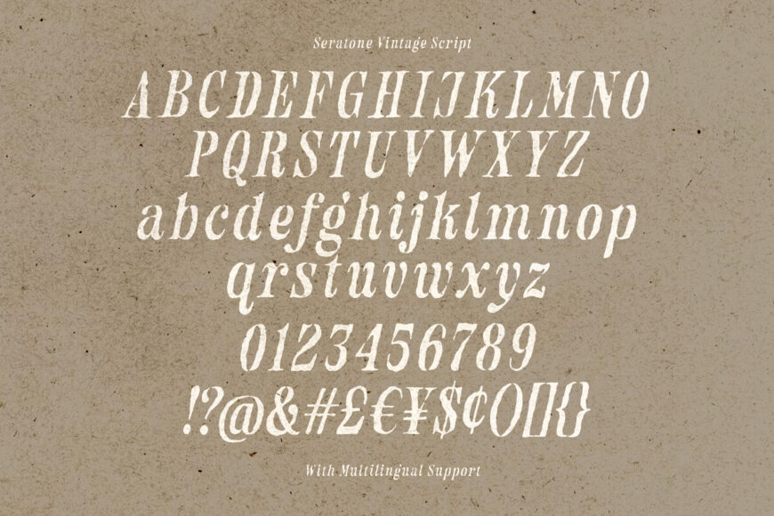 Seratone Vintage Font Duo