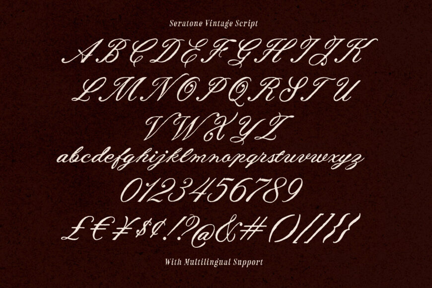 Seratone Vintage Font Duo
