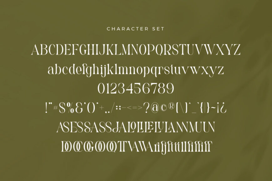 Vannesa Font